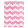 10 Sachets en Papier à Chevrons