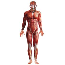 Déguisement Anatomie pour Homme