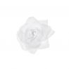 24 Roses avec Autocollants