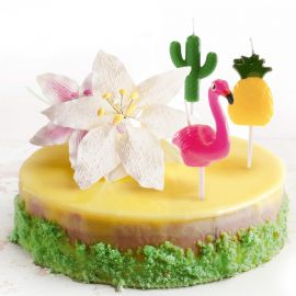 Bougies Ananas, Flamant Rose et Cactus