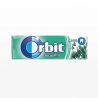 Chewing-Gum Obit goût Eucalyptus 30 unités