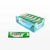 Chewing-Gum Trident Stick Chlorophyll 24 unités