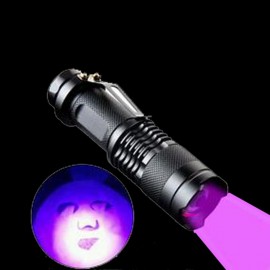 Lampe Torche de Lumière Ultraviolette avec 10 Watts