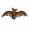 Chauve-Souris 60 cm