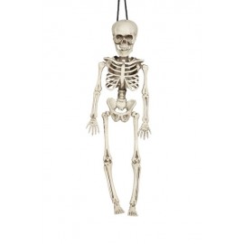 Squelette 40 cm