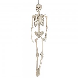Squelette Humain Halloween