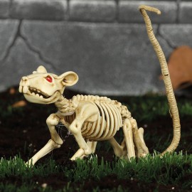 Squelette de Rat 20 cm