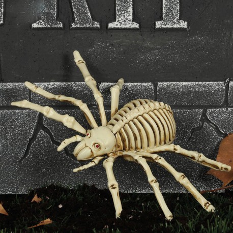 Squelette d'Araignée 24 cm