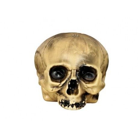 Crâne sans Menton 20 cm en Plastique