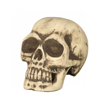 Crâne 32 cm en Mousse