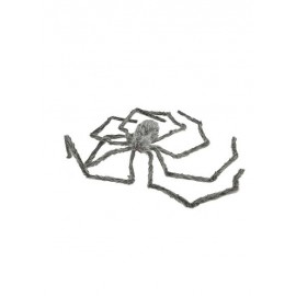 Araignée Poilue Géante