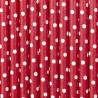 10 Pailles en Papier et à Pois 19.5 cm