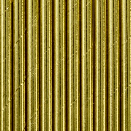 10 Pailles Papier Brillant 19,5 cm 10 Pailles Papier Brillant 19,5 cm