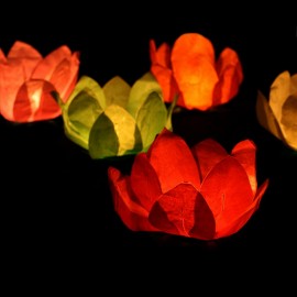 6 Bougies Flottantes Forme Fleur 29 cm 6 Bougies Flottantes Forme Fleur 29 cm