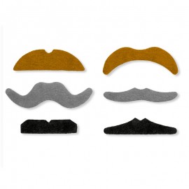 6 Fausses Moustaches
