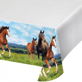 Nappe Cheval et Poney