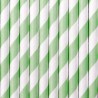 10 Pailles en Papier Avec Rayures