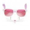 Lunettes de Lapin avec Moustaches