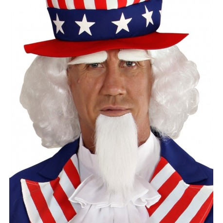 Perruque et Barbe Mr. America