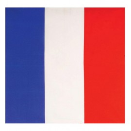 Bandana Drapeau de la France