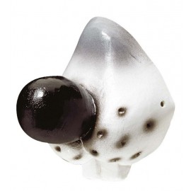 Nez de Souris