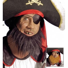 Barbe de Pirate Assortie