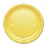10 Assiettes en Plastique 20,5 cm