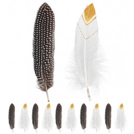 Set de 12 Plumes Indiennes