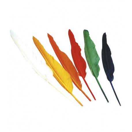 Set de 12 Plumes d'Indien