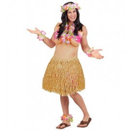 Costumes de Beauté Hawaïens