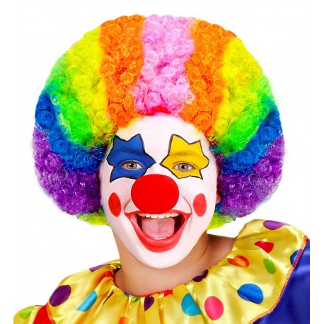 Perruque de Clown Multicolore