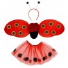 Ensemble Coccinelle avec Antennes