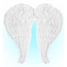 Maxi Ailes Plumes Blanches Moulables