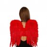 Ailes en Plumes 60 cm