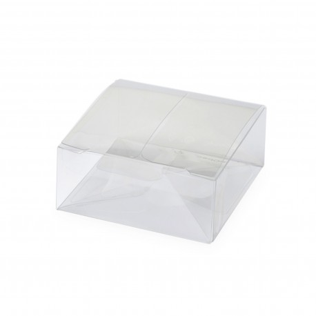 Estuche Transparente