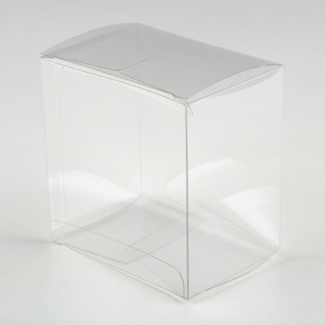 Estuche Transparente 10 x 7 x 10 cm