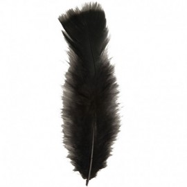 50 Plumes de 10 cm