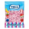 250 Bonbons Vidal Tartes au sucre 