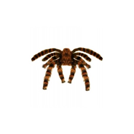 Araignée veuve noire 90 cm