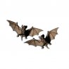 4 Chauves-Souris Volantes