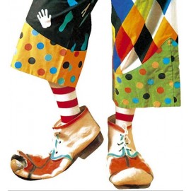 Paire de Chaussures de Clown