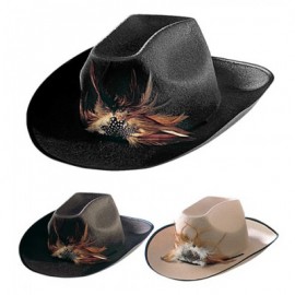 Chapeau de Cow-boy avec Plume