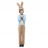 Disfraz clásico de Peter Rabbit