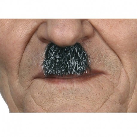 Bigote Canoso