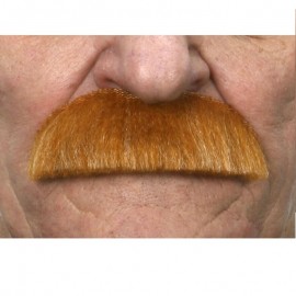 Bigote Arreglado