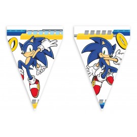 Fanion Sonic 3 m