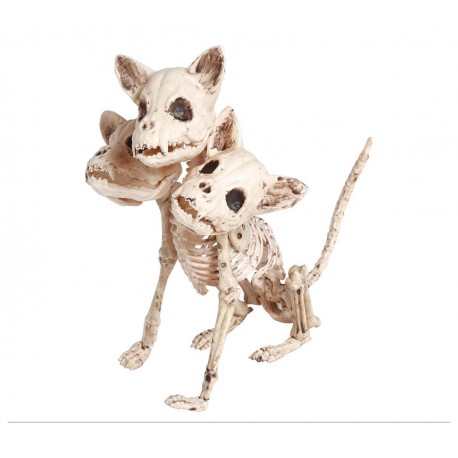 Squelette Chien à 3 Têtes 34 cm