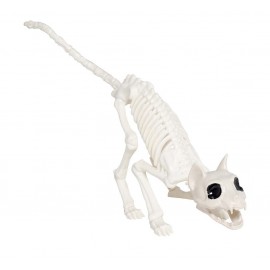 Squelette Chat 48 cm