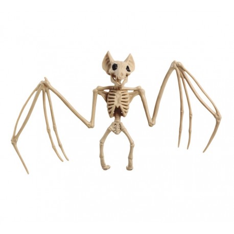 Squelette de chauve-souris 30X16 cm