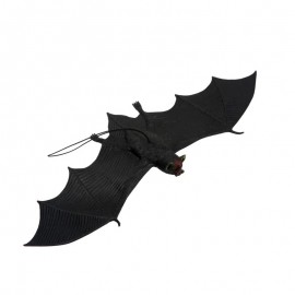 Chauve-souris